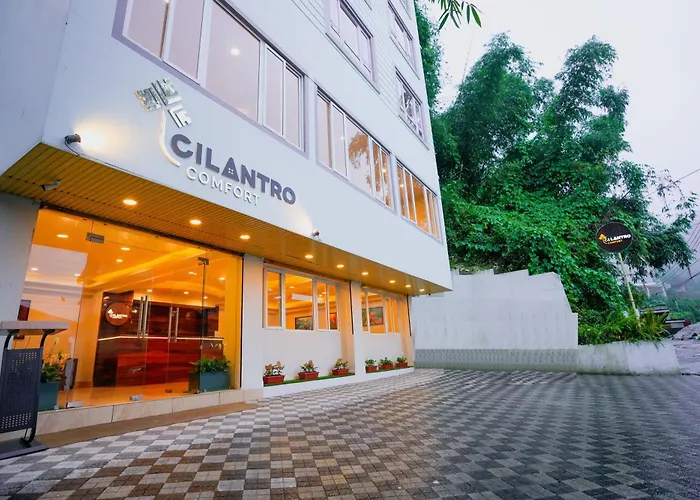 Cilantro Comfort Gangtok