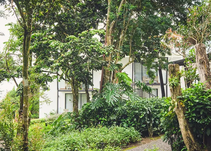 Ocotea Boutique Hotel Monteverde