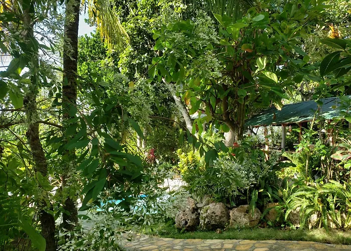 Zapote Tree Inn Flores