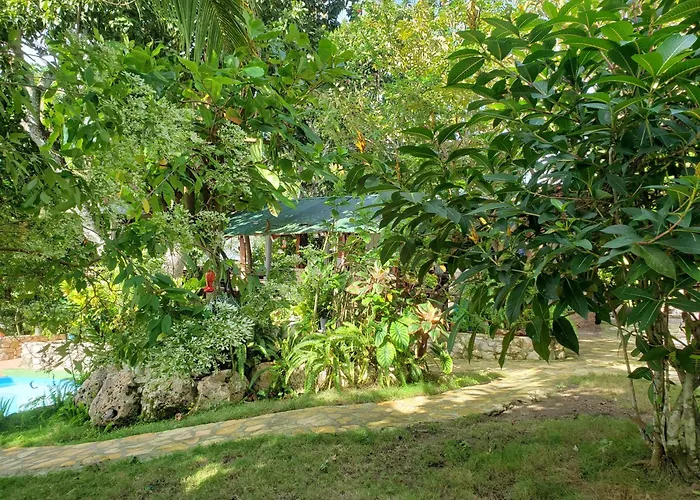 Zapote Tree Inn Flores