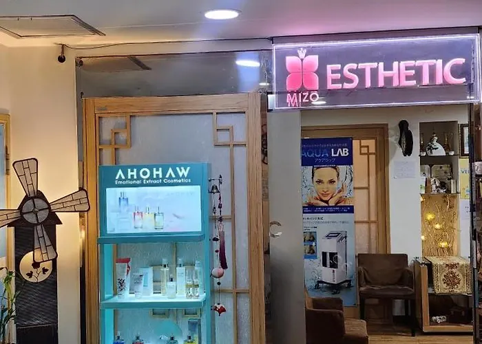 Mizo Hotel Seoel