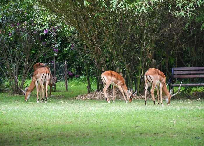 Lukenya Getaway Hotel Athi River