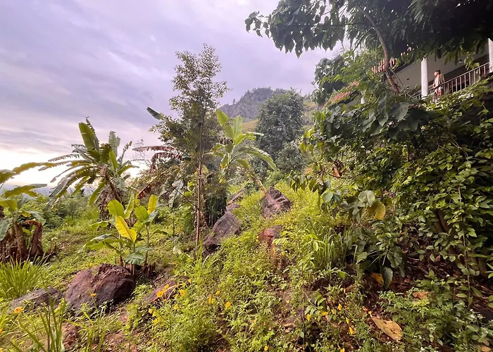Nature Green Hotels On Rock Home Ella