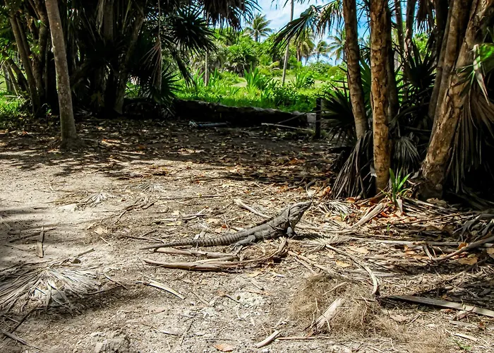 Miraluna 233 At Luum Zama Tulum