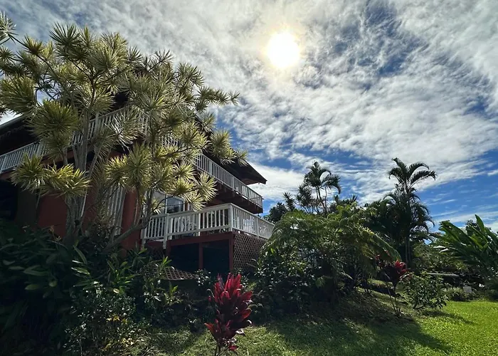 Coffee Garden Bed & Breakfast Captain Cook
