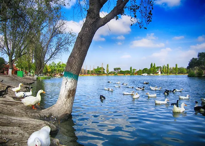 Al Qudra Lakes Camping By Hyba Dubai