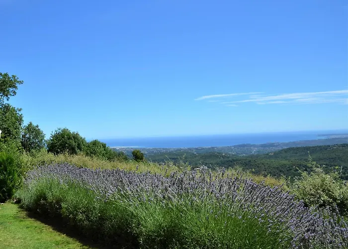 Bed and Breakfast La Bastide des Pins à Vence