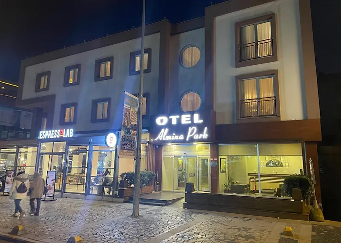 Hotel Almina Park Düzce