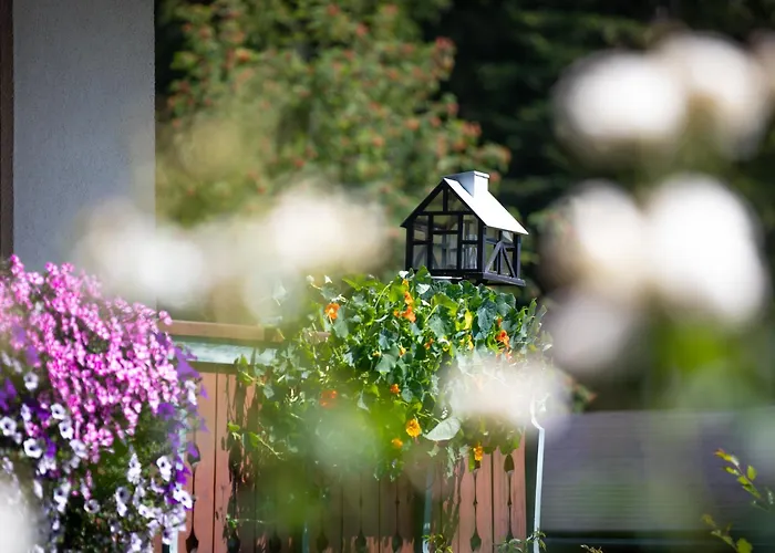 Bed and Breakfast Alpenhof Ramsau am Dachstein