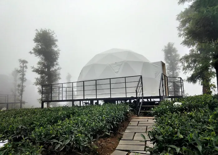 Vythiri Tea Valley I Best Hotel In Wayanad L Hotels In Vythiri Wayanad