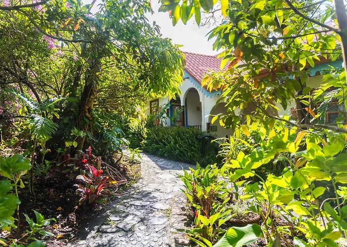 Hotel Claro De Luna Monteverde