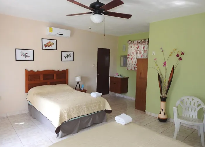 Las Palapas De Punta Allen
