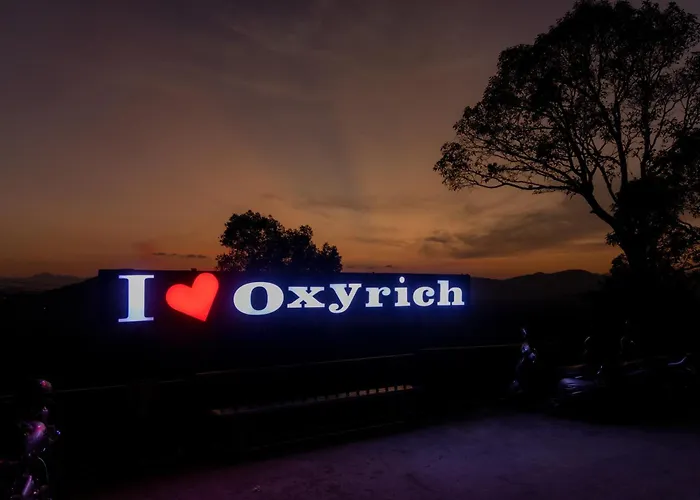 Oxyrich Hotel Madikeri