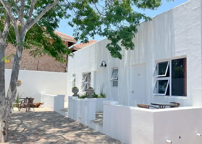 Amoris Guesthouse - In Brooklyn Pretoria