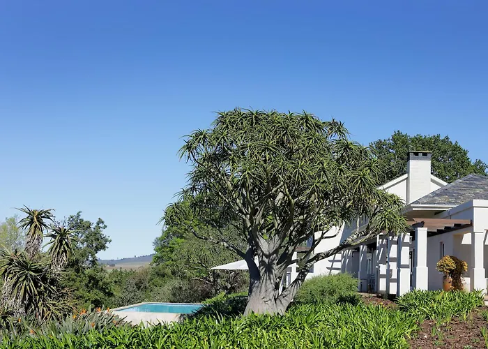 Hotel Sugarbird Manor Stellenbosch