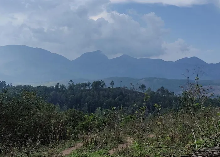 El Lora Resldency Bed & Breakfast Munnar