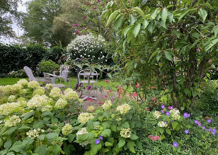 De Viersprong Bed and Breakfast Laren 