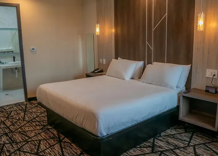 Comfeeni Inn And Suites South Houston