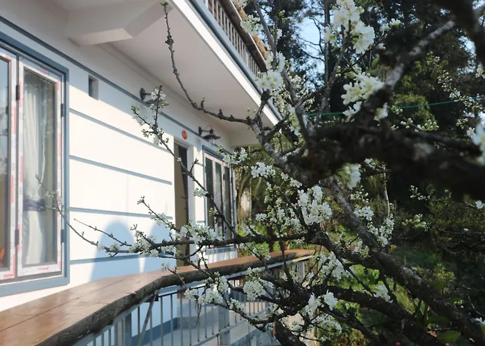 Mây Núi Homestay Sa Pa