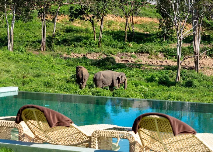 Wild Cottages Elephant Sanctuary Resort Bophut
