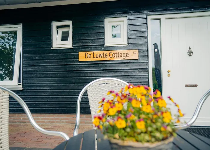 B&B De Luwte Cottage Zwolle 