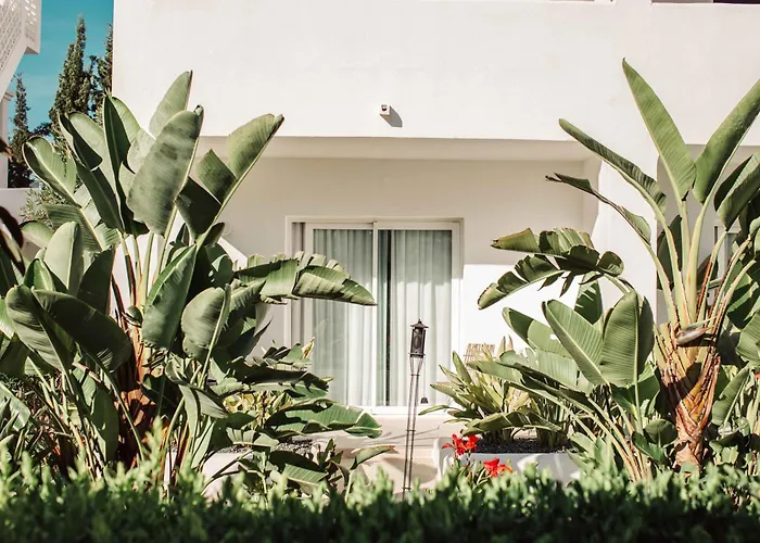 Hotel Boutique&Spa Las Mimosas Ibiza Sant Antoni de Portmany