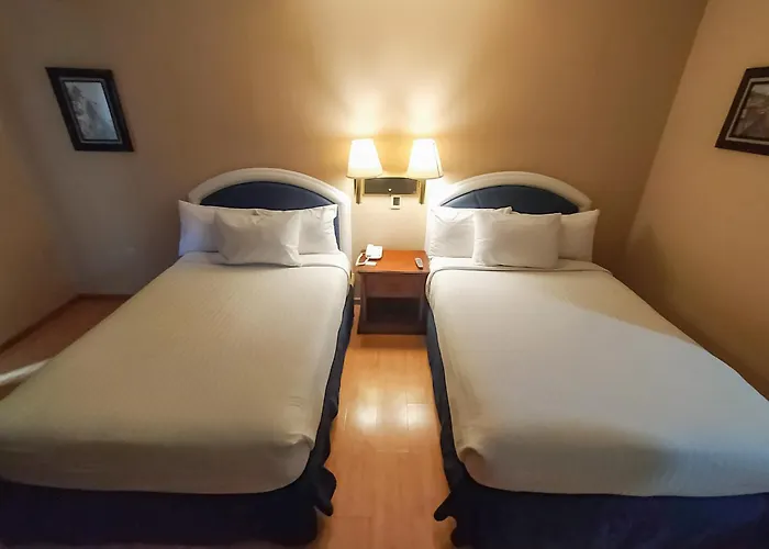 Hotel Gran Plaza & Convention Center Guanajuato