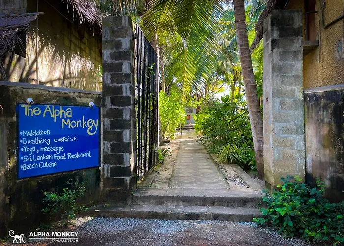 The Alpha Monkey Hotel & Tree House Tangalle