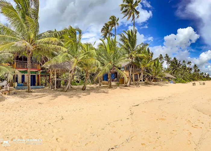 The Alpha Monkey Hotel & Tree House Tangalle