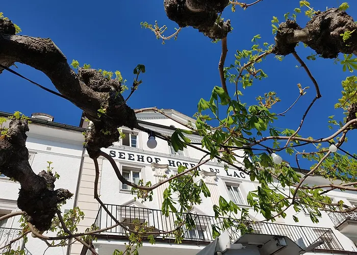 Seehof Hotel Du Lac Weggis