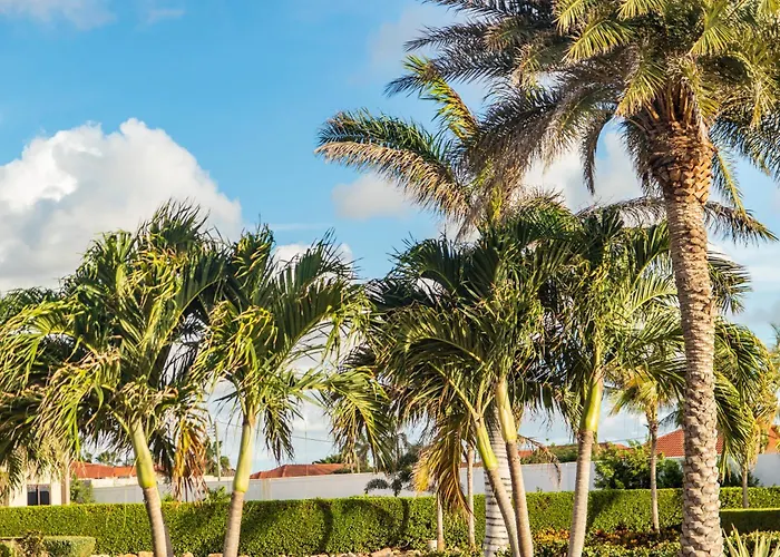Bocobay Gold Coast Resort Palm Beach