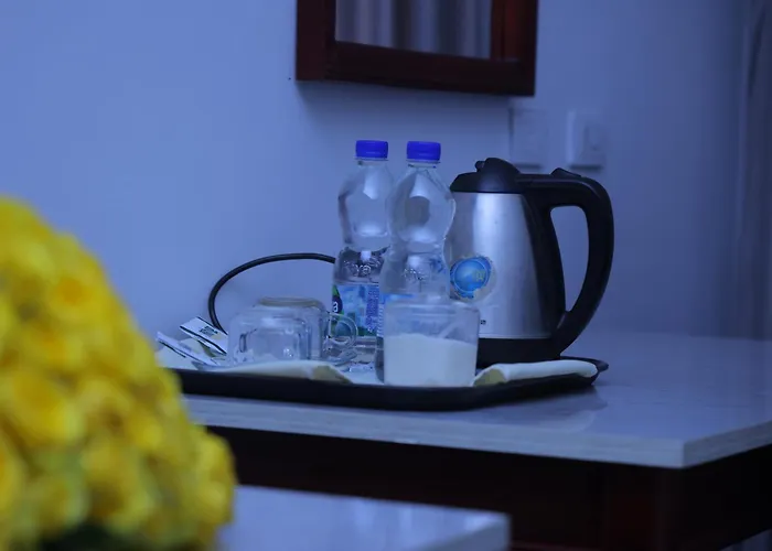 Trinity Hotel Addis Ababa