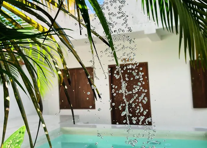 Sri Lanka Surf Villa Domus Graziella Ahangama