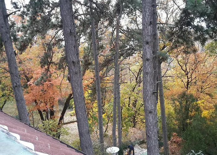 Berg Toboz Panzió Hotel Pécs