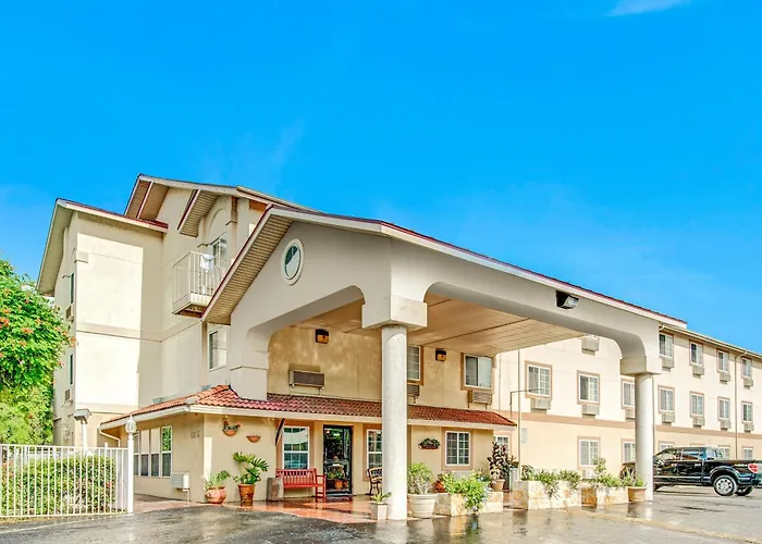 Hotel Super 8 By Wyndham San Antonio/Fiesta