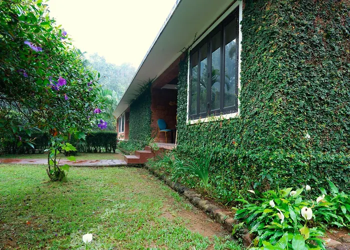 Falling Waters Munnar