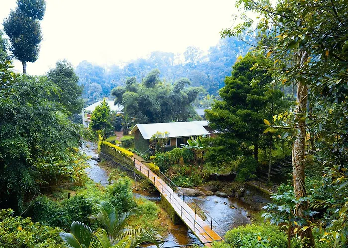 Falling Waters Munnar