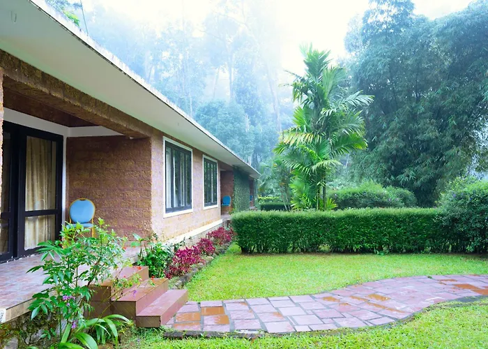Falling Waters Munnar