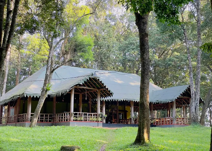 900 Woods Wayanad Eco Resort - A Sprawling Jungle Stay Near Glass Bridge Meppadi