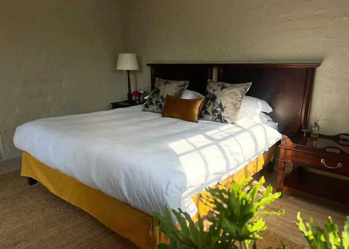 Chocolate Orchid Hotel White River