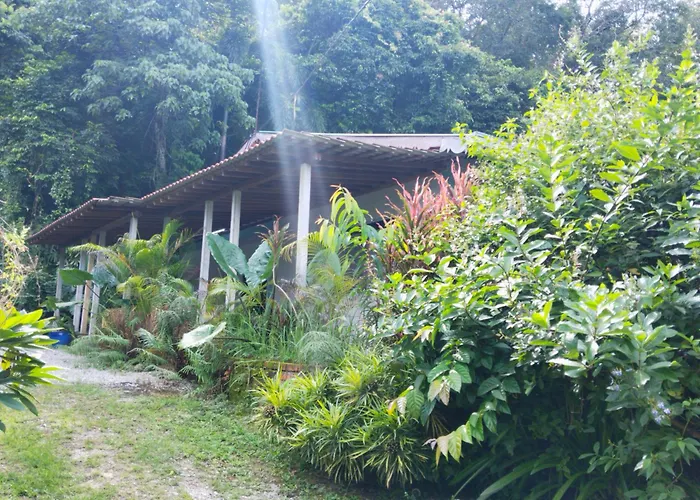 Pondok Keladi Langkawi Guesthouse Pantai Cenang 