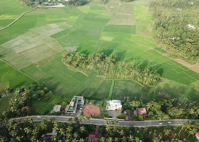 Paddyfield Inn Mananthavady