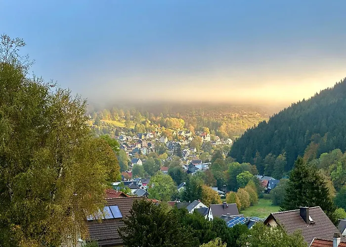 Pension Am Waldesrand Ilmenau