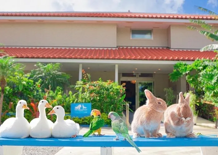 Little Mermaid Hotel Ishigakijima Ishigaki 