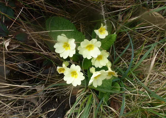 Aran Walkers Lodge Inis Mor