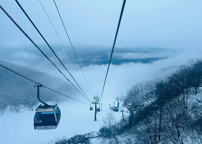 Snow Elephant Hakuba