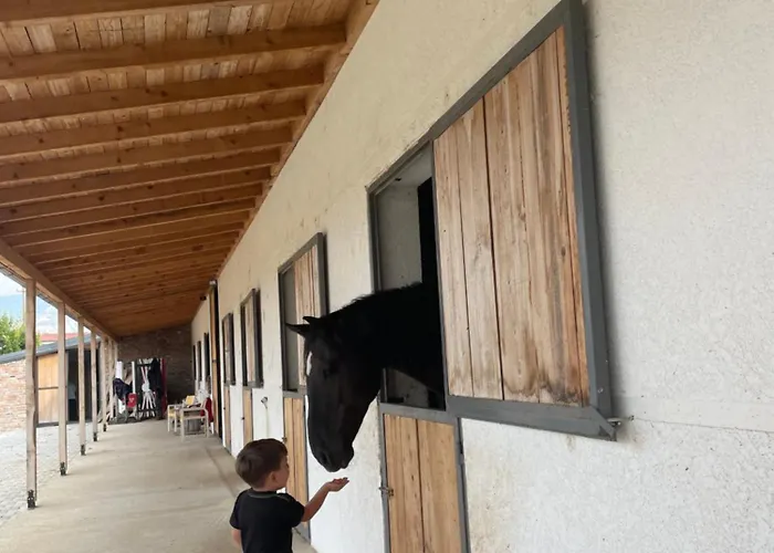 Hotel House Of Horses Shtepia E Kuajve Korce