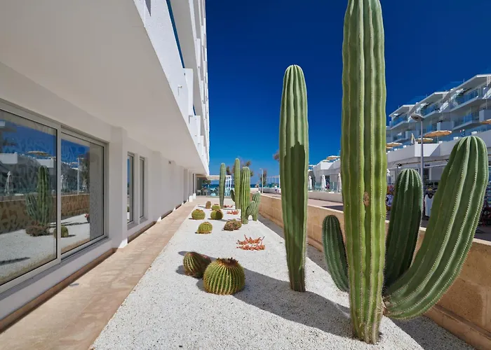 The Sea Hotel By Grupotel - Adults Only Can Picafort 