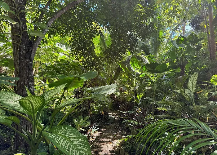 Jungle Kingdomes Guest House Siquijor