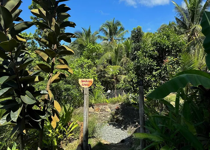 Jungle Kingdomes Guest House Siquijor
